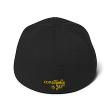 Load image into Gallery viewer, Structured Twill Cap (consiStenCy &quot;Embroidered&quot;)
