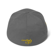 Load image into Gallery viewer, Structured Twill Cap (consiStenCy &quot;Embroidered&quot;)
