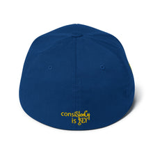 Load image into Gallery viewer, Structured Twill Cap (consiStenCy &quot;Embroidered&quot;)
