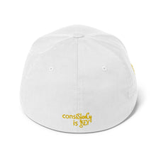 Load image into Gallery viewer, Structured Twill Cap (consiStenCy &quot;Embroidered&quot;)
