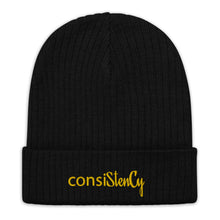 Load image into Gallery viewer, Recycled cuffed beanie &quot;consiSitenCy (Embroidered)&quot;
