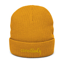 Load image into Gallery viewer, Recycled cuffed beanie &quot;consiSitenCy (Embroidered)&quot;
